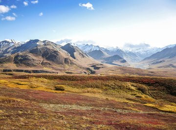 Tundra landsape