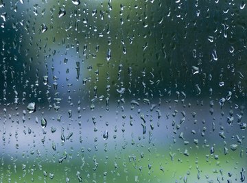 A rain gauge measures  the amount of local precipitation.