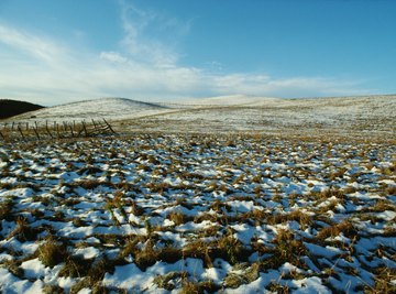 Snow covered tundra