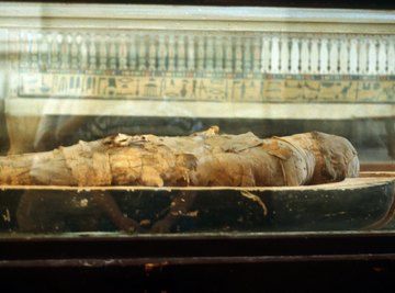 Four-legged mummies sometimes accompanied their owners.