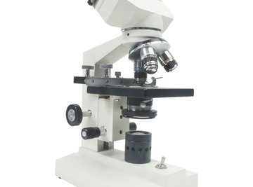 The bright light microscope is a common research and educational tool.