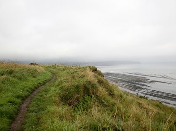 Mississippi Bluff