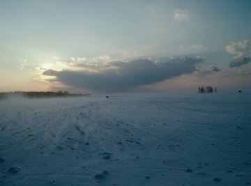 Life in the tundra has adapted to living with the cold.