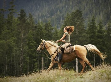 In some breeds, horse coat color is a codominant trait.