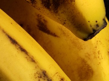 A chemical process called oxidation turns bananas brown.