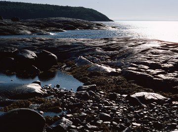 The high tide refills the tide pools with fresh ocean water.