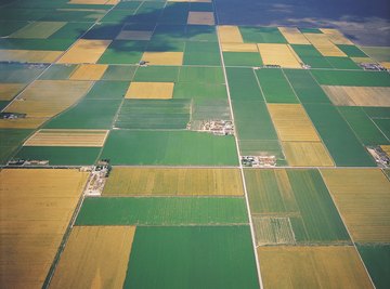 Certain regions are better suited to farming due to physical geology.