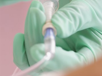 Doctors rely on the transporting power of veins when administering IVs.