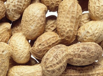 Peanuts were not widely cultivated in the American South until Carver promoted their many possible uses.