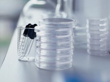 Sterile equipment is vital for a successful microbiology experiment.