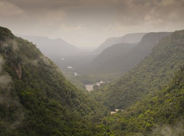 The Amazon rainforest is one of the most diverse ecosystems in the world.