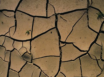 Without water, clay soil shrinks, hardens and cracks.