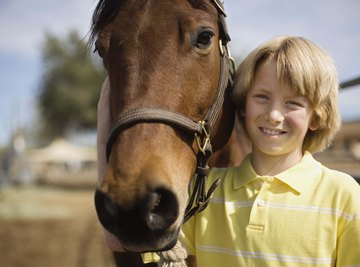 horse research project ideas