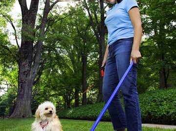 Leaving your dog's waste on the lawn isn't environmentally friendly.