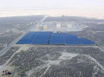 Sunlight is harvested by both the solar cells and the plants in this picture.