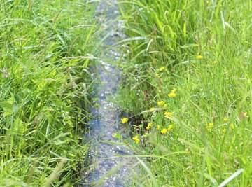 Add an artificial creekbed to your garden to control water runoff.