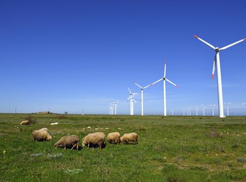 Wind turbines convert wind energy into mechanical energy.