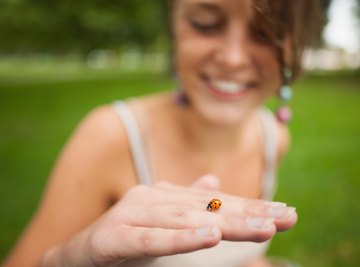 You share the planet with about 5,000 ladybug species.