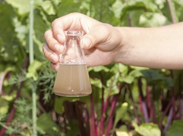 A student collecting a water and soil sample from the garden.