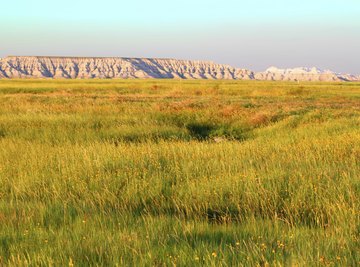 Buffalo Gap National Grassland is the second largest national National Grassland in the United States.