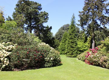 A beautifully manicured garden with various types of trees and shrubs.