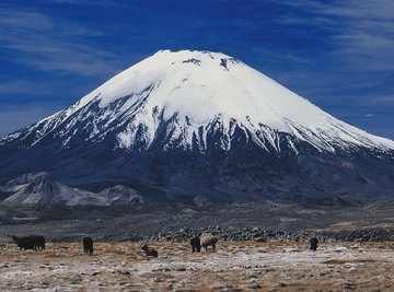 Colliding tectonic plates built the Andes Mountains.