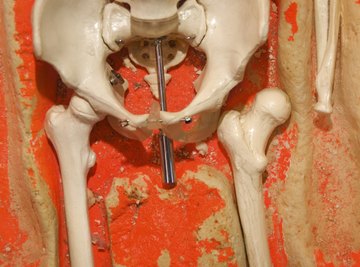 Bone loss occurs with acidosis.