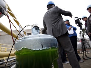 An engineer speaks into a video camera in front of a jug of micro algae solution at a biofuel facility.