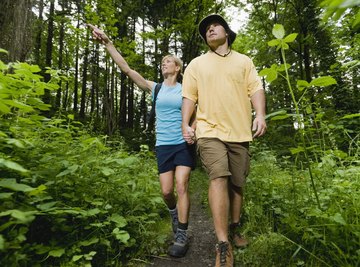 A couple walking together on a woodland trail.