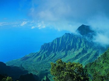 The rugged terrain of the Hawaiian islands wrings voluminous rain from the trades.