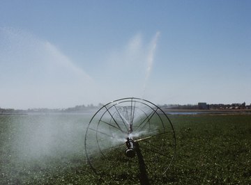 Sprinkler wheels are common in hay fields.