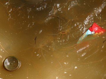 Pollutants caused by land use damage Cape Fear River Basin waters.