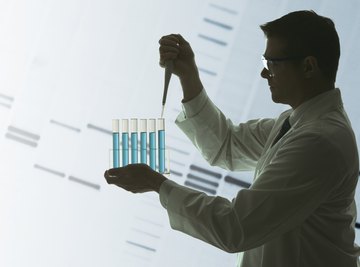 Scientists can essentially cut and paste pieces of DNA from different sources to make completely new combinations of traits.