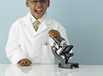 Light microscopes are the most commonly used microscopes in schools.