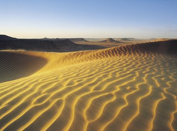 Sand is just one type of desert soil.