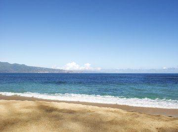 The neritic zone in the ocean teems with organisms.