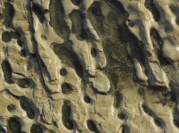 Sedimentary rocks are full of pores that can hold energy-rich oil and natural gas.