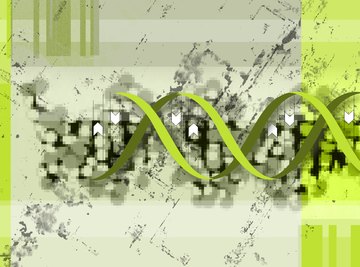 Several types of errors can creep into DNA.