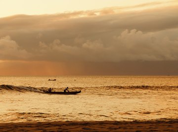 Hawaiians traditionally carved canoes out of kamani wood.