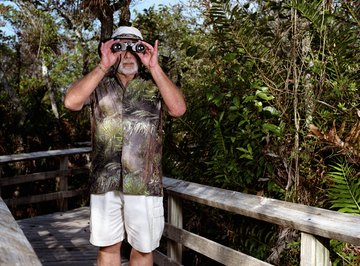 Human activities, such as increased tourism, impact the Florida Keys ecosystem.