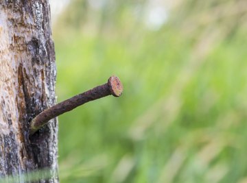 Close-up of rusty iron nail in wood