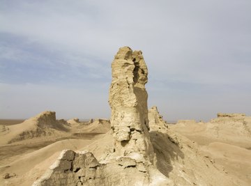 Cold deserts typically have lower biodiversity than hot deserts.