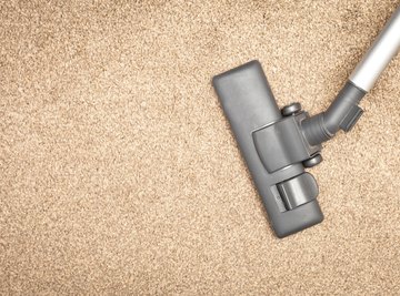 Frequent vacuuming removes food sources for carpet beetles.