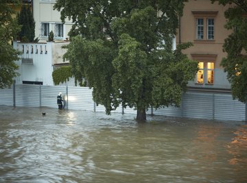 Floods can leave behind clues that help investigators determine severity.