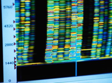 DNA information on a computer model.