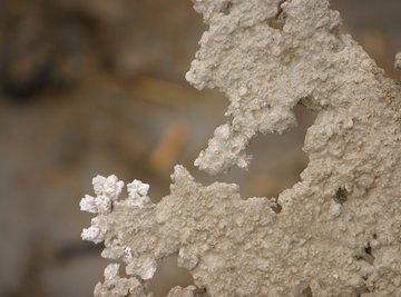 Salt crystals form when a saline solution evaporates and leaves the salt behind.