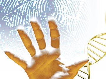 DNA fingerprinting is not the same thing as DNA sequencing.