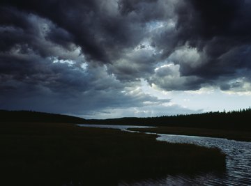 Thunderstorms bring precipitation, helping to revitalize an ecosystem.