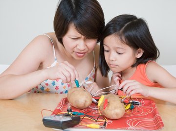 Making a potato lamp is a great science experiment.