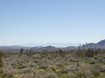 Joshua Tree National Park is one of many recreational areas in the Mojave Desert.